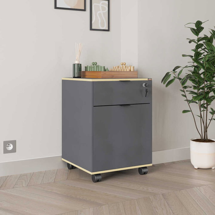 Hanah Home Rkm-311-Ax-1 Armario Multiusos Antracita y Roble